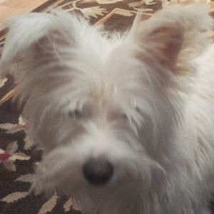 Meet your Posher, Ann marissa